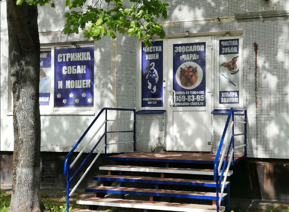  Стрижка собак и кошек, а также другие услуги груминга в зоосалоне в Санкт-Петербурге